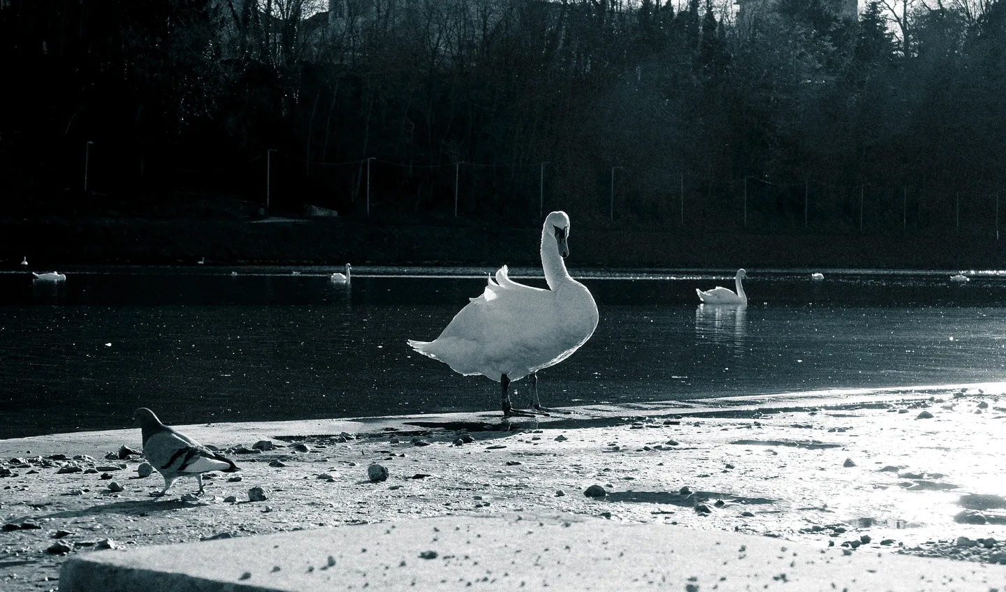 Photograph 21