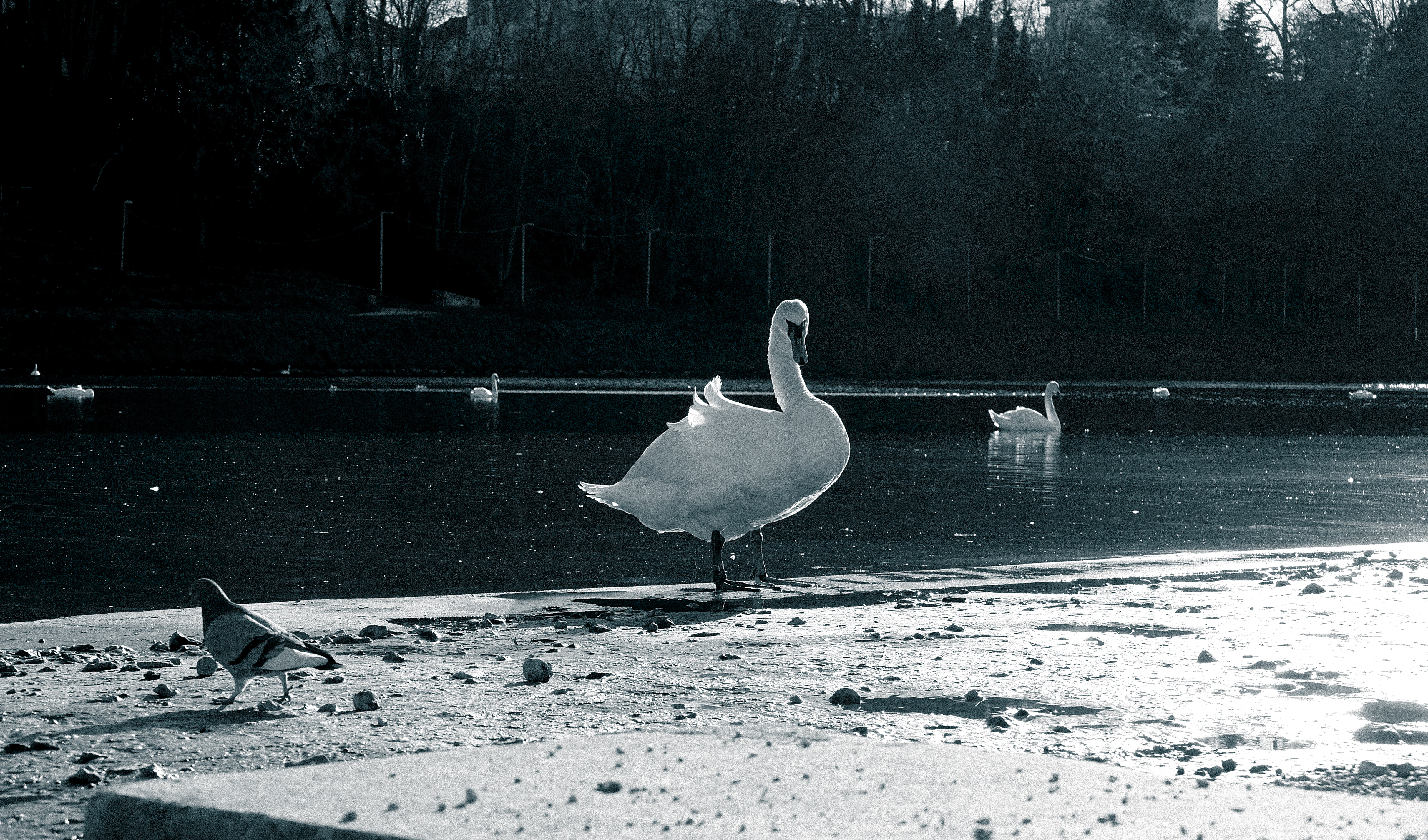 Photograph 21