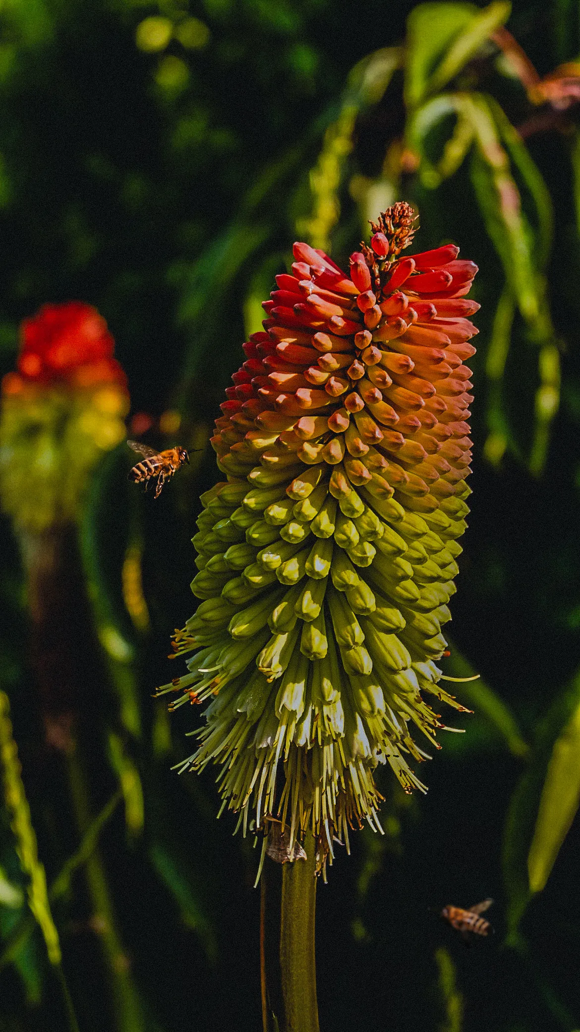 Photograph 22