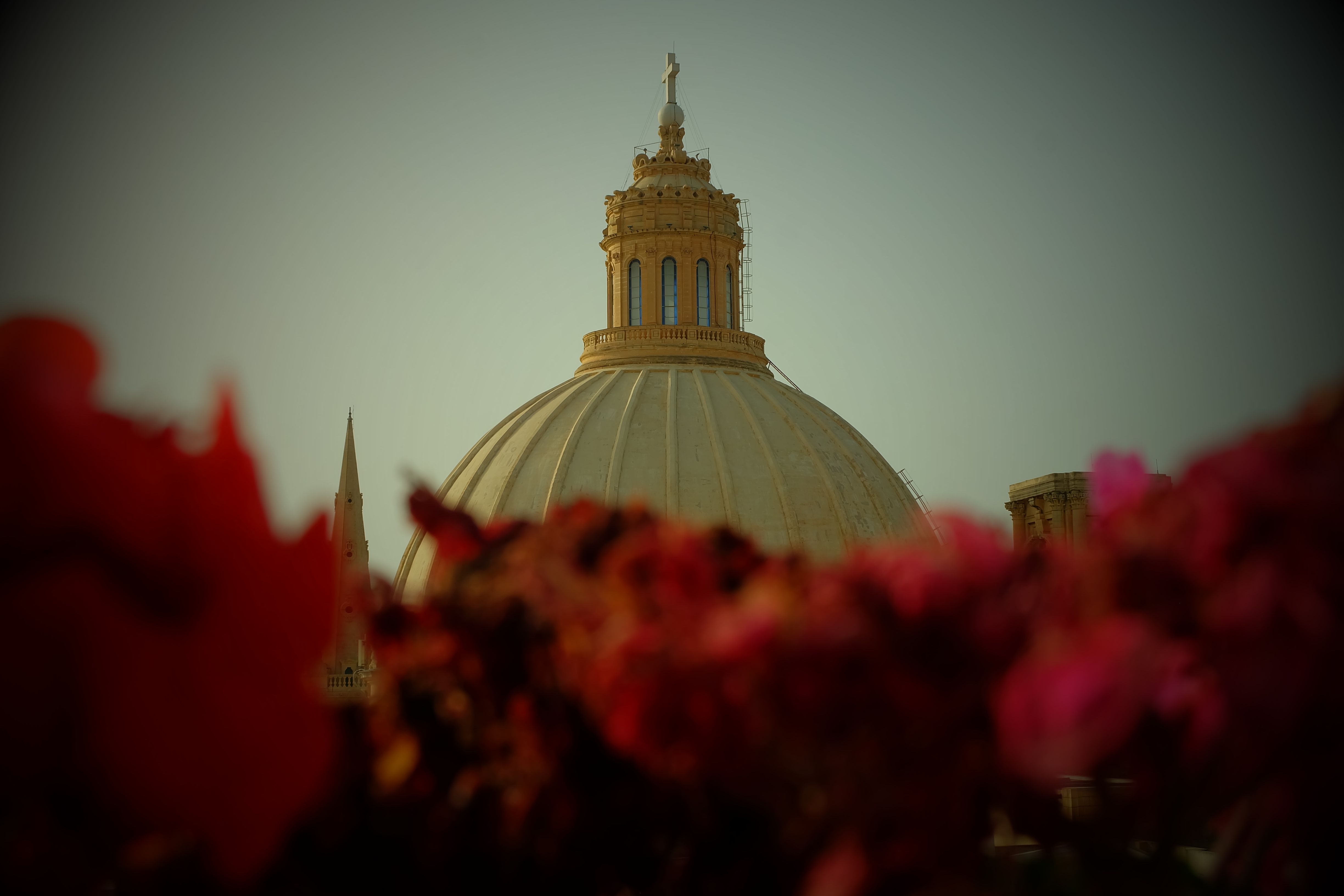 Photograph 6
